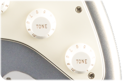 Fender Player Stratocaster, Pau Ferro Fingerboard, Silver