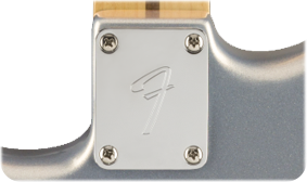 Fender Player Stratocaster, Pau Ferro Fingerboard, Silver