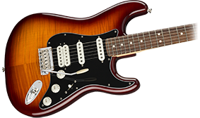 Fender Player Stratocaster®, Maple Fingerboard, Black