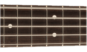 American Professional II Precision Bass V (3-Colour Sunburst)