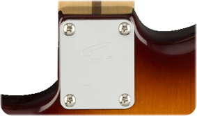 Fender Player Stratocaster Plus Top, Pau Ferro Fingerboard, Tobacco Sunburst