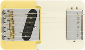Fender American Performer Telecaster