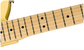 Fender American Performer Telecaster