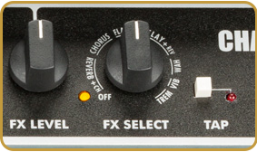 Fender Champion 50XL