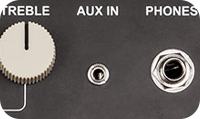 AUXILIARY INPUT