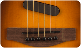 Acoustasonic Telecaster (Shadow Burst)