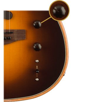 Acoustasonic Telecaster (Shadow Burst)