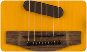 Acoustasonic Telecaster (Butterscotch Blonde)