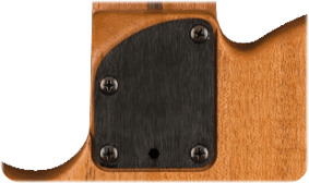 Acoustasonic Telecaster (Shadow Burst)