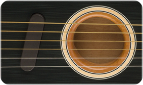Acoustasonic Player Telecaster (Brushed Black)