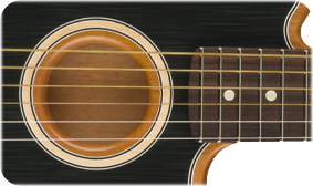 Acoustasonic Player Telecaster (Brushed Black)