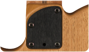 Acoustasonic Player Telecaster (Brushed Black)