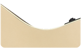 Fender Newporter Player Champagne