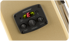 Fender Newporter Player Champagne