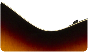 Fender Newporter Player Sunburst