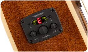 Fender Newporter Player Natural