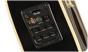 FISHMAN PREAMP AND TUNER