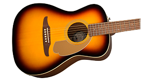 UNIQUE FENDER BODY SHAPE