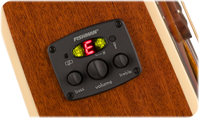 FENDER- AND FISHMAN-DESIGNED PREAMP SYSTEM