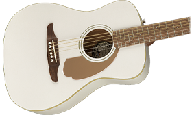 UNIQUE FENDER BODY SHAPE