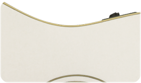 SOLID SPRUCE TOP