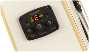 FENDER- AND FISHMAN-DESIGNED PREAMP SYSTEM