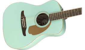 UNIQUE FENDER BODY SHAPE