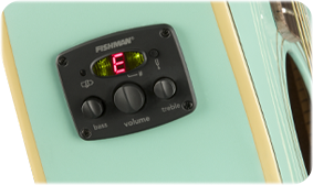 FENDER- AND FISHMAN-DESIGNED PREAMP SYSTEM