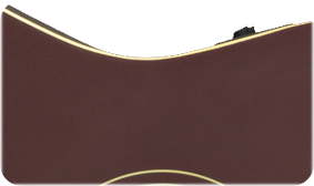 SOLID SPRUCE TOP