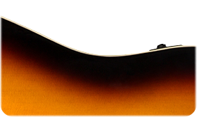 SOLID SPRUCE TOP