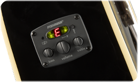 FENDER- AND FISHMAN-DESIGNED PREAMP SYSTEM