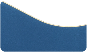 SOLID SPRUCE TOP