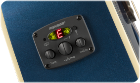 FENDER- AND FISHMAN-DESIGNED PREAMP SYSTEM