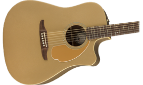 UNIQUE FENDER BODY SHAPE