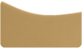 SOLID SPRUCE TOP