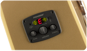 FENDER- AND FISHMAN-DESIGNED PREAMP SYSTEM