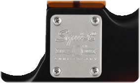 ENGRAVED 40TH ANNIVERSARY NECK PLATE