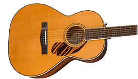 FENDER-DESIGNED BODY