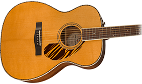 Fender PO-220E Natural