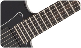 Fender Jim Root Stratocaster Flat Black