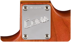 Fender Michael Landau Coma Stratocaster