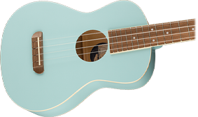 TENOR BODY