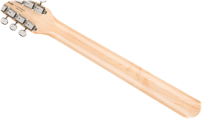 GLOSS NECK FINISH