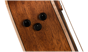 FISHMAN PREAMP SYSTEM