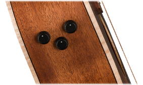 FISHMAN PREAMP SYSTEM
