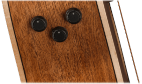FISHMAN PREAMP SYSTEM