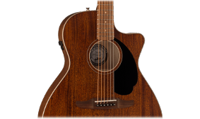 PAU FERRO FINGERBOARD AND BRIDGE