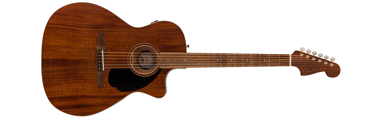 Fender Newporter Special Natural