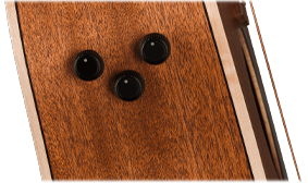 FISHMAN PREAMP SYSTEM