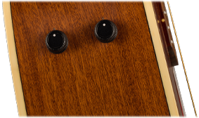 FISHMAN PREAMP SYSTEM